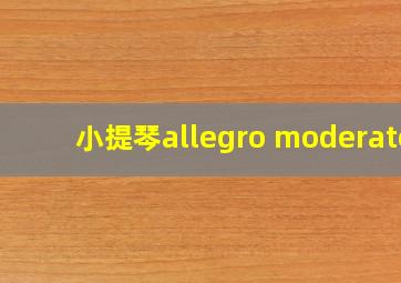 小提琴allegro moderato